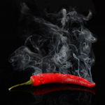 Red Hot Chilli Pepper (Square Version)