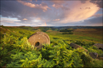 Millstones  Rainbows