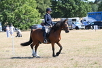WJ6_8225