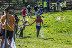 The Finish-1650