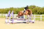SBM_000436