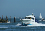 130506 SCARY MARY BENETEAU ANTARES WT7A1086