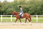 SBM_001334