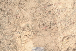 230422A-124542-05879