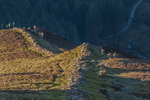 Grisedale-10
