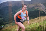 Steel Fell-398