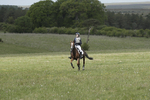 BVHT 140517  IXC -371