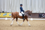 SBM_000766