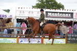 Class 21 - 22 - Ridden Arab and Part Bred/Anglo Arab portfolio