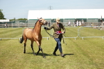 SBM_05595