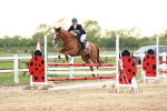 SBM_009688