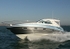 081112 INSTINCT IMG_0299