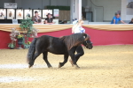 SBM_16659