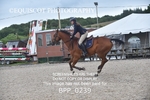 BPP_0239