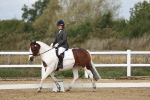 SBM_001008
