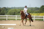 SBM_008896