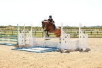 SBM_006966