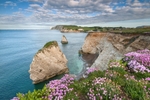 z2194 Freshwater Bay