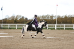 SBM_000385