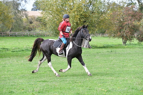 WJ5_9888