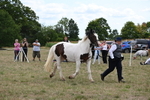 WJ6_5573