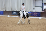 SBM_009289