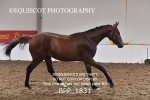 BPP_1831