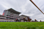 230825-Race 5-Northern Ticker-9922
