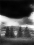 IR8