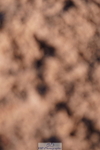 240505A-181100-07531