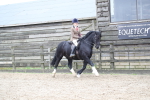 SBM_006272