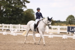 Class 37 Novice 5 portfolio
