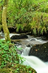 Kennal Vale