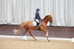 SBM_002849