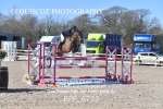 CLASS 13 SUN 148cm Pony Royal Highland Show Championship Qualifier portfolio