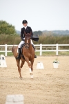 SBM_020226