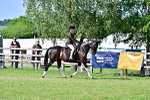 SBM_19486