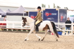 SBM_04278