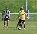 Kendal Town v Widnes portfolio