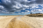 Shell Bay near Studland, Dorset