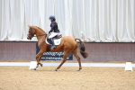 SBM_000884