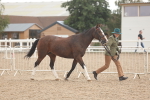 SBM_07610
