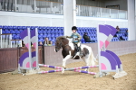 SBM_000724