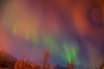 Northern Lights ~ Tromso 6