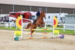 class 8 - Senior British Novice - 90cm portfolio