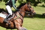 469-WELLFIELDS_LINCOLN-Susie_Berry-XC portfolio
