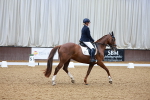 SBM_001215