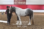 BPP_1304