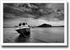 Shadowing ♦ ALNMOUTH