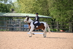WJ6_6776